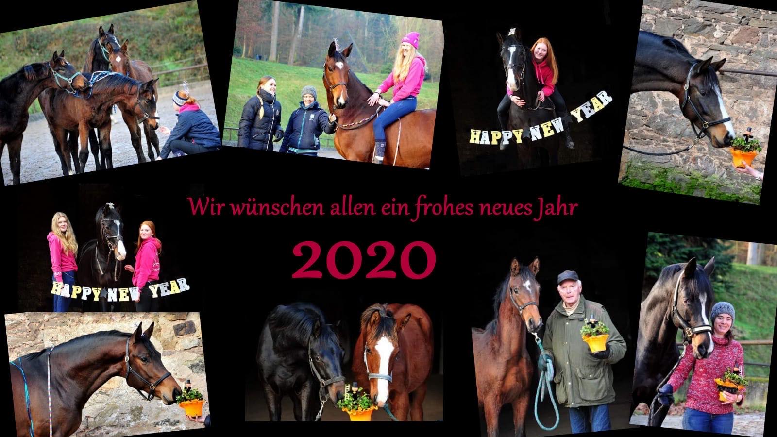 Happy New Year 2020 - Trakehner Gestt Hmelschenburg 2019 - Foto: Beate Langels