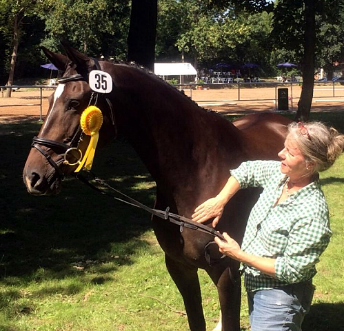 Trakehner Pr.u.StPrSt. Kendra von Freudenfest - Gestüt Schäplitz - Foto: B. Langels