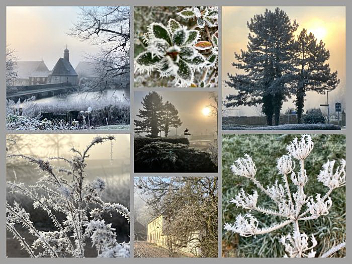 Dauerfrost in H�melschenburg im Februar 2025 - Trakehner Gest�t H�melschenburg