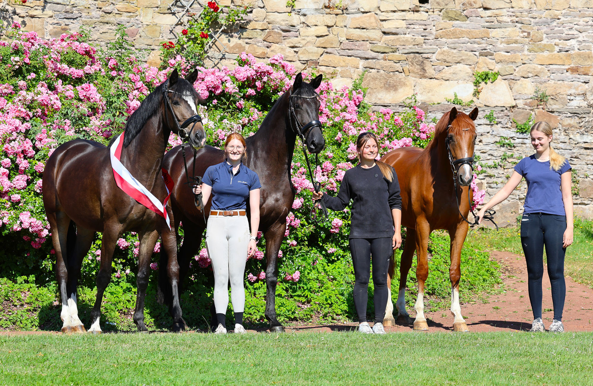 Pr�mienstuten der zentralen Stuteneintragung - Trakehner Gest�t H�melschenburg - Foto Beate Langels