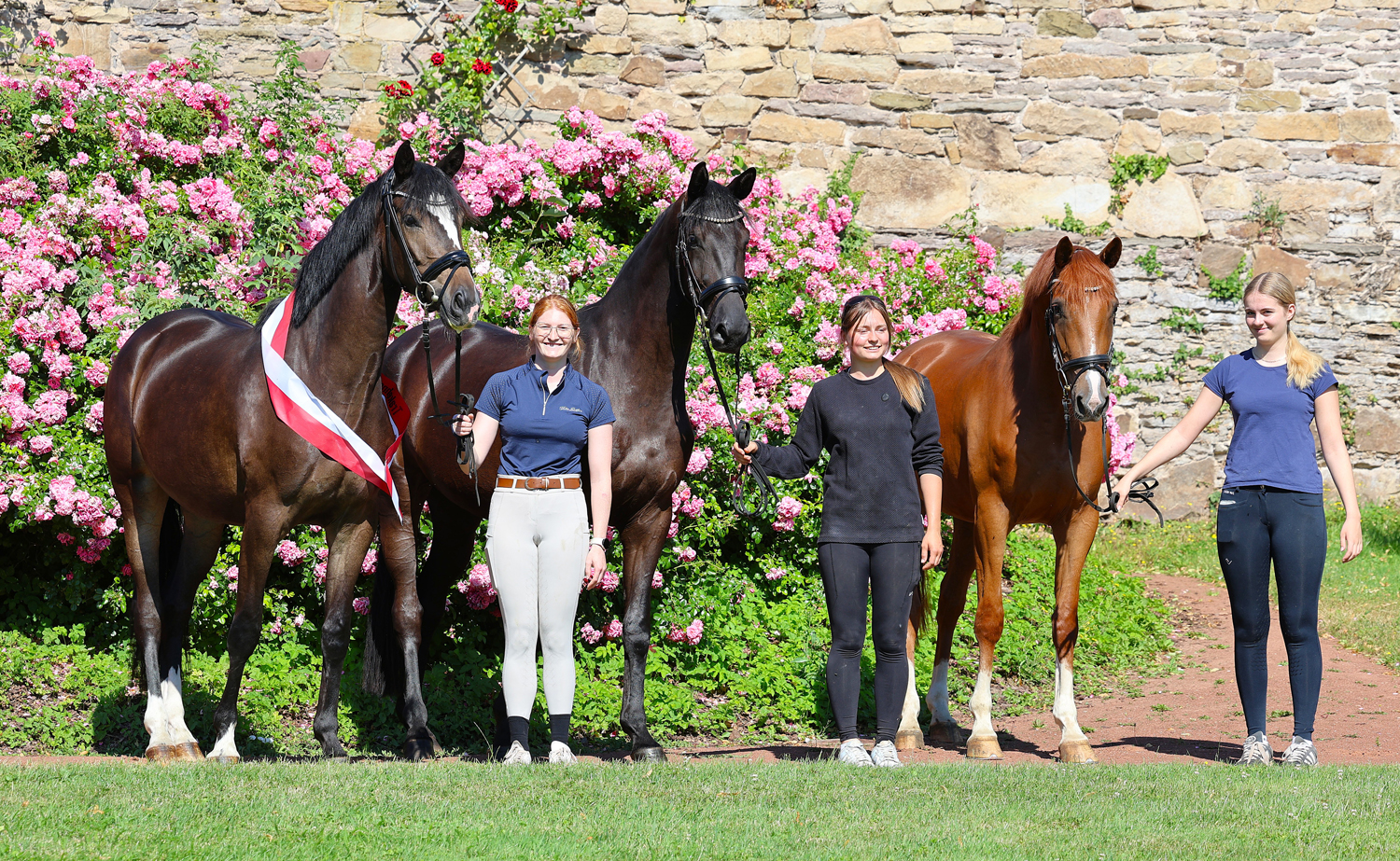 Kaiserin mit Schwalbendynasie und Kavalea - Trakehner Gest�t H�melschenburg - Foto Beate Langels