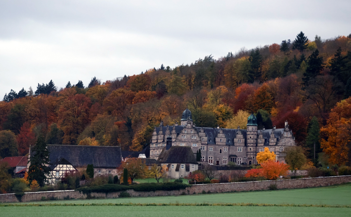 November 2025 - Trakehner Gestt Hmelschenburg - Foto Sabine Beyer 