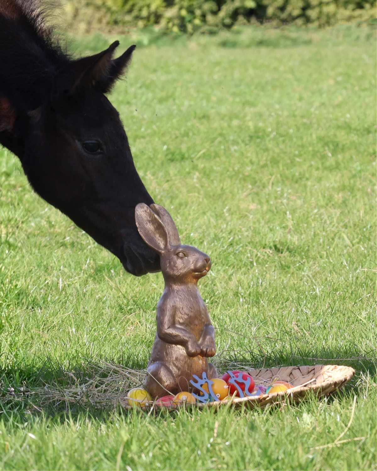 Ostern 2026 - Tea in the Morning v. Hopkins - Foto: Sabine Beyer