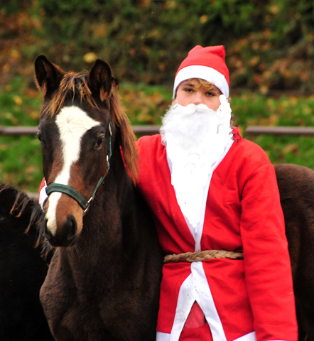 6. Dezember 2019 - der Nikolaus ist zu Gast in Hmelschenburg - Trakehner Gestt Hmelschenburg - Beate Langels