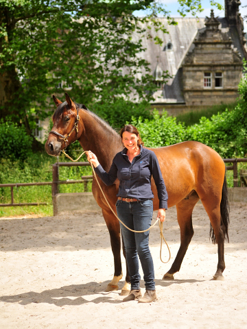 Sauveur - Trakehner by Freudenfest out of Schwalbenfeder by Summertime - Foto: Beate Langels