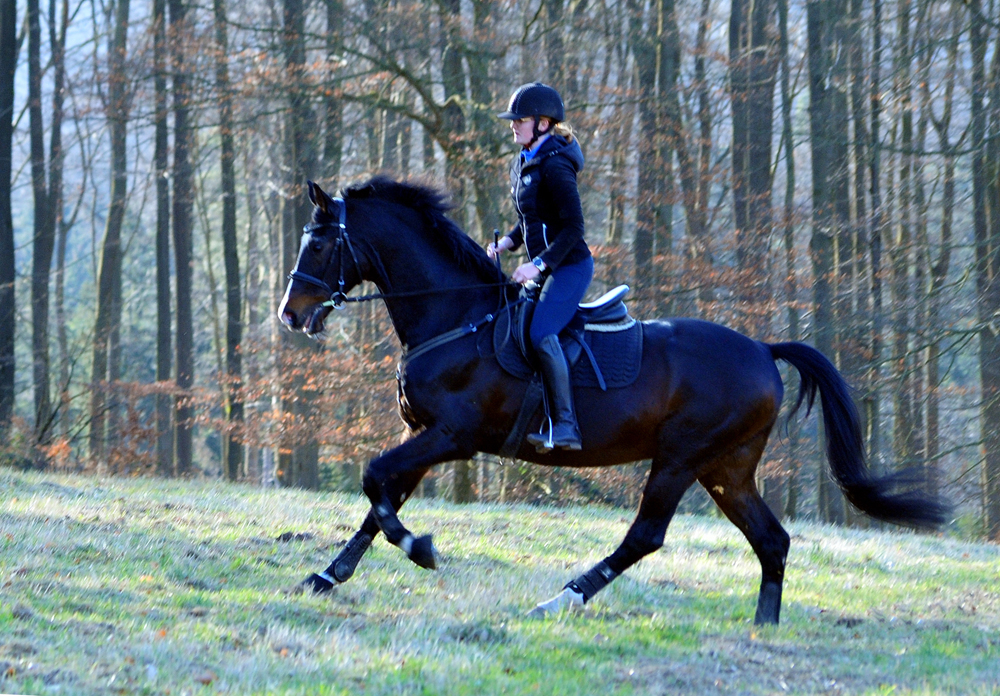 Shavalou und Johanna am 6. März Hämelschenburg im März 2025 - Trakehner Gestüt Hämelschenburg