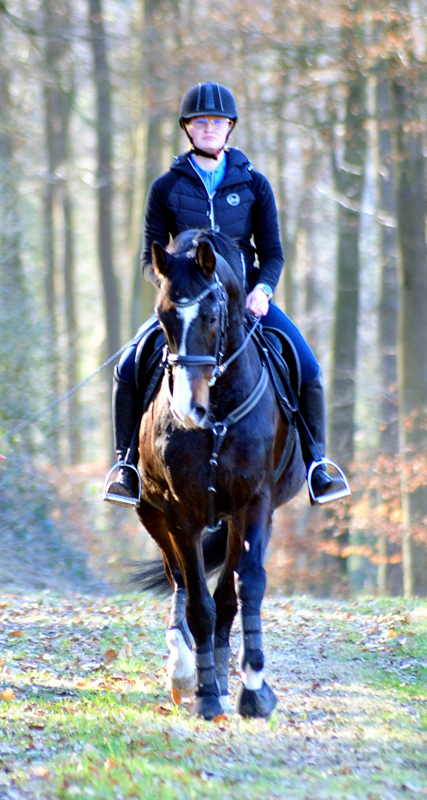 Impressionen - Mrz 2025 - Trakehner Gestt Hmelschenburg  - Foto: Beate Langels