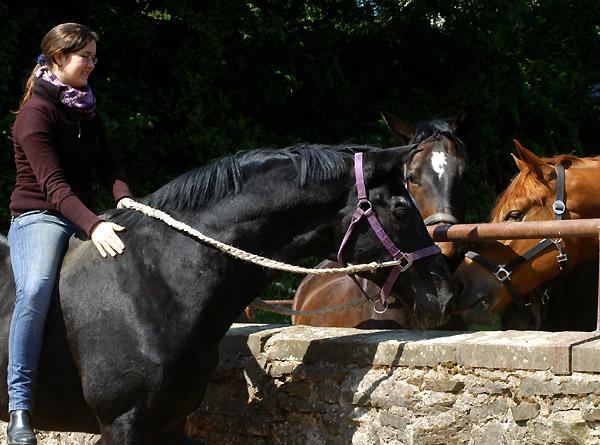 Kostolany und Luisa - 6. Mai 2011 - Foto: Beate Langels - Trakehner Gest�t H�melschenburg