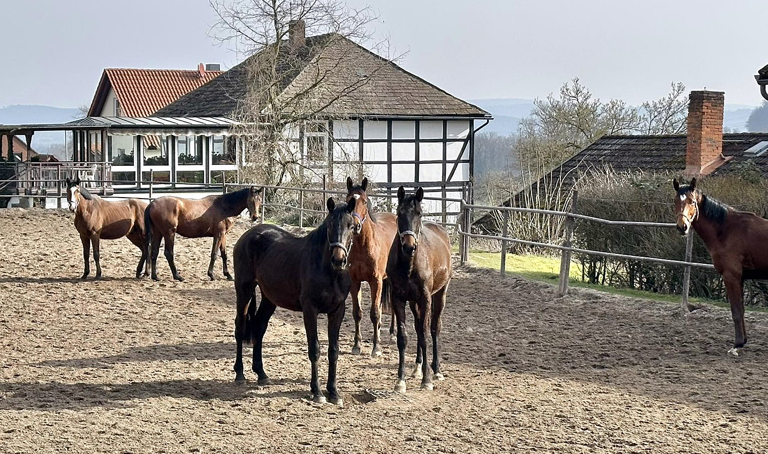  - Foto: Beate Langels