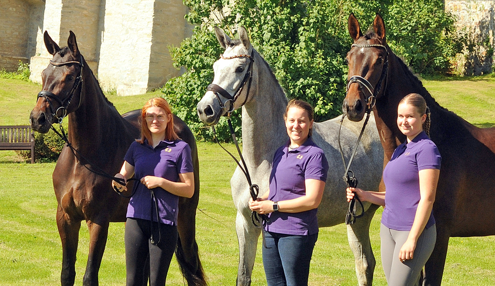 Unsere 3 Pr�mienanw�rterinnen Valentiana, Tea at Five und Val d'Amour - Foto: Beate Langels - Trakehner Gest�t H�melschenburg
