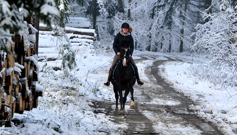 Schnee auf den Bergen rund um Hmelschenbug - Shavalou und Johanna haben ihn genossen - Foto: Beate Langels - 
Trakehner Gestt Hmelschenburg
