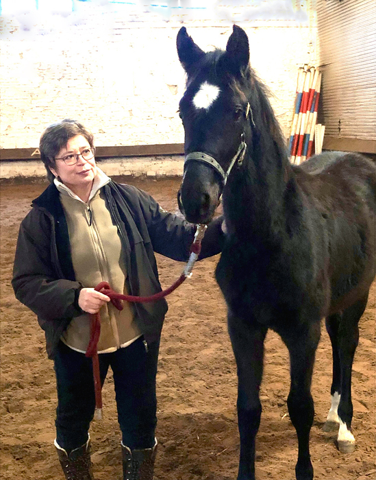 New Star v. Saint Cyr x Millennium und seine Züchterin Hämelschenburg 12. Januar 2025 - Trakehner Gestüt Hämelschenburg