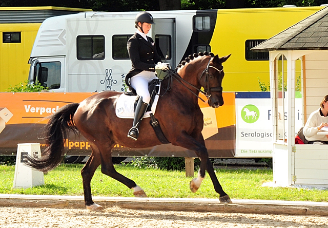5. Plaz Piaff F�rderpreis in Bettenrode f�r SEAL und Lune Karolin M�ller am  12.Juli 2020 - Foto: Beate Langels - Trakehner Gest�t H�melschenburg