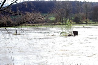 Hochwasser in Hmelschenburg im November 2010, Gestt Hmelschenburg, Foto: Beate Langels