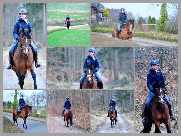 High Motion und Greta - Fotos Beate Langels