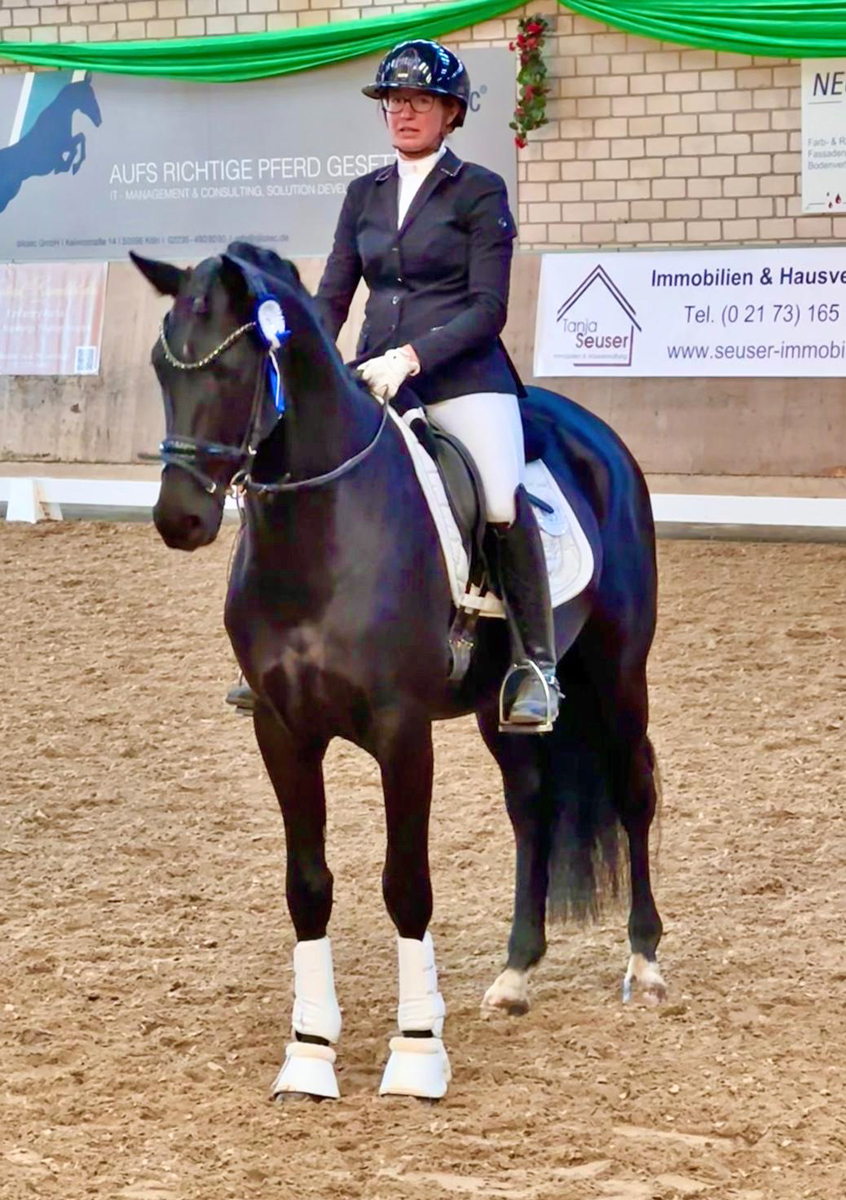 Karenio by Imperio out of Pr.u.StPrSt. Katniss Everdeen by Saint Cyr - Foto: Langels - Trakehner Gestüt Hämelschenburg