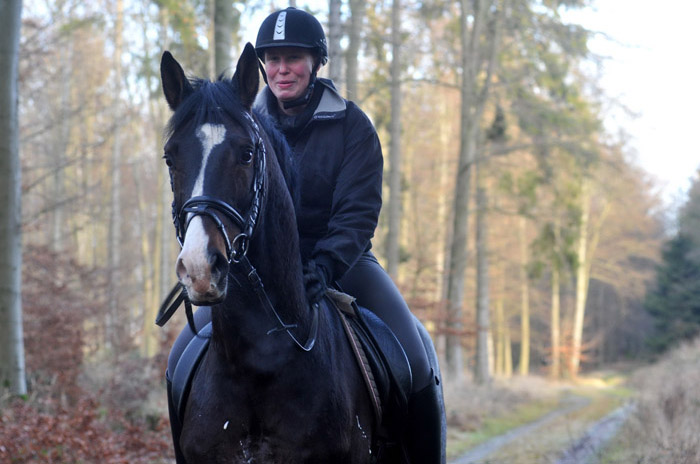 Ausritt im Januar 2012: Hirtenglanz und Shavalou - Foto: Beate Langels - Trakehner Gest�t H�melschenburg