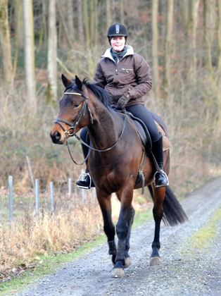 Ausritt im Januar 2012: Hirtenglanz und Shavalou - Foto: Beate Langels - Trakehner Gest�t H�melschenburg