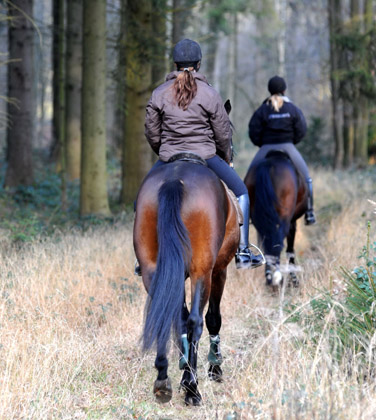 Ausritt im Januar 2012: Hirtenglanz und Shavalou - Foto: Beate Langels - Trakehner Gest�t H�melschenburg