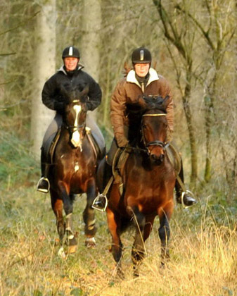 Ausritt im Januar 2012: Hirtenglanz und Shavalou - Foto: Beate Langels - Trakehner Gest�t H�melschenburg