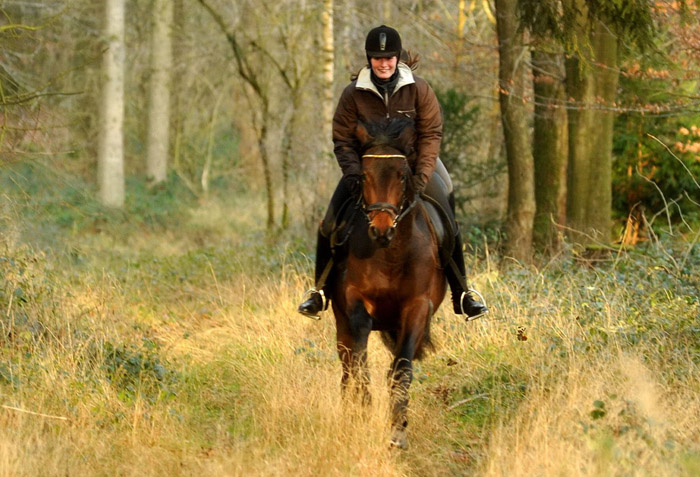 Ausritt im Januar 2012: Hirtenglanz und Shavalou - Foto: Beate Langels - Trakehner Gest�t H�melschenburg