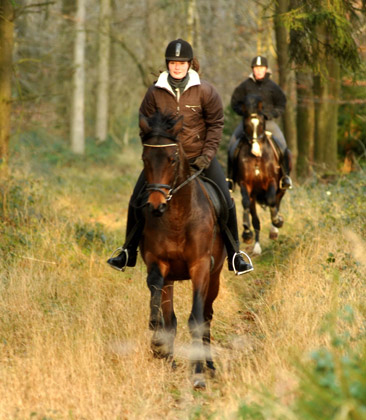 Ausritt im Januar 2012: Hirtenglanz und Shavalou - Foto: Beate Langels - Trakehner Gest�t H�melschenburg