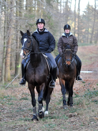 Ausritt im Januar 2012: Hirtenglanz und Shavalou - Foto: Beate Langels - Trakehner Gest�t H�melschenburg