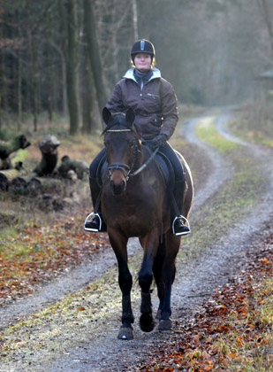 Ausritt im Januar 2012: Hirtenglanz und Shavalou - Foto: Beate Langels - Trakehner Gest�t H�melschenburg