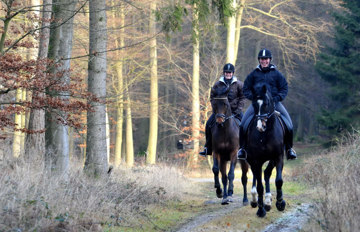 Ausritt im Januar 2012: Hirtenglanz und Shavalou - Foto: Beate Langels - Trakehner Gest�t H�melschenburg