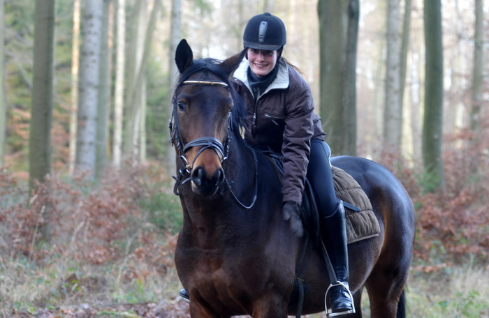 Ausritt im Januar 2012: Hirtenglanz und Shavalou - Foto: Beate Langels - Trakehner Gest�t H�melschenburg