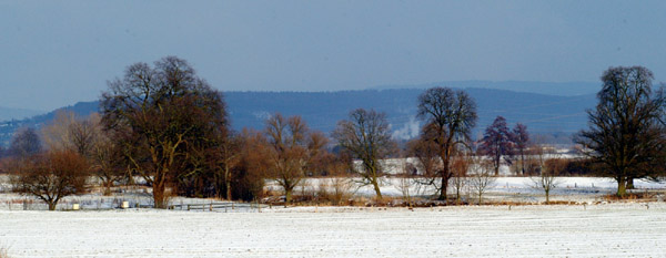 Hmelschenburg im Februar 2010 - Foto: Beate Langels