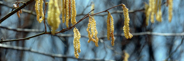 - Foto: Beate Langels - Trakehner Gestüt Hämelschenburg