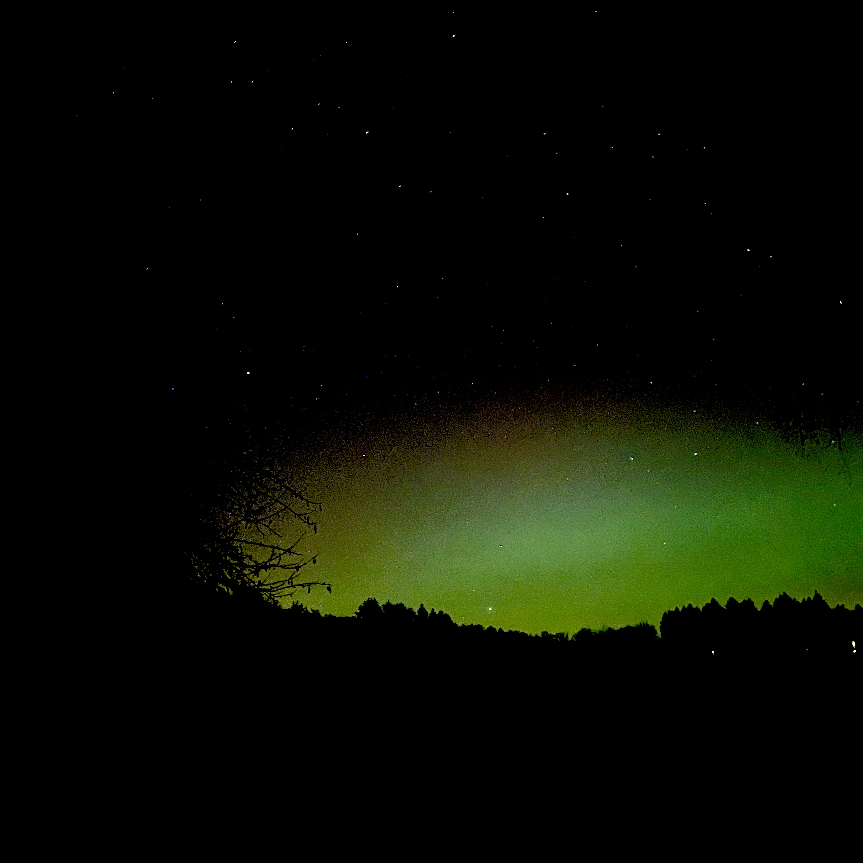 Polarlichter - Trakehner Gest�t H�melschenburg Beate Langels - Foto Beate Langels