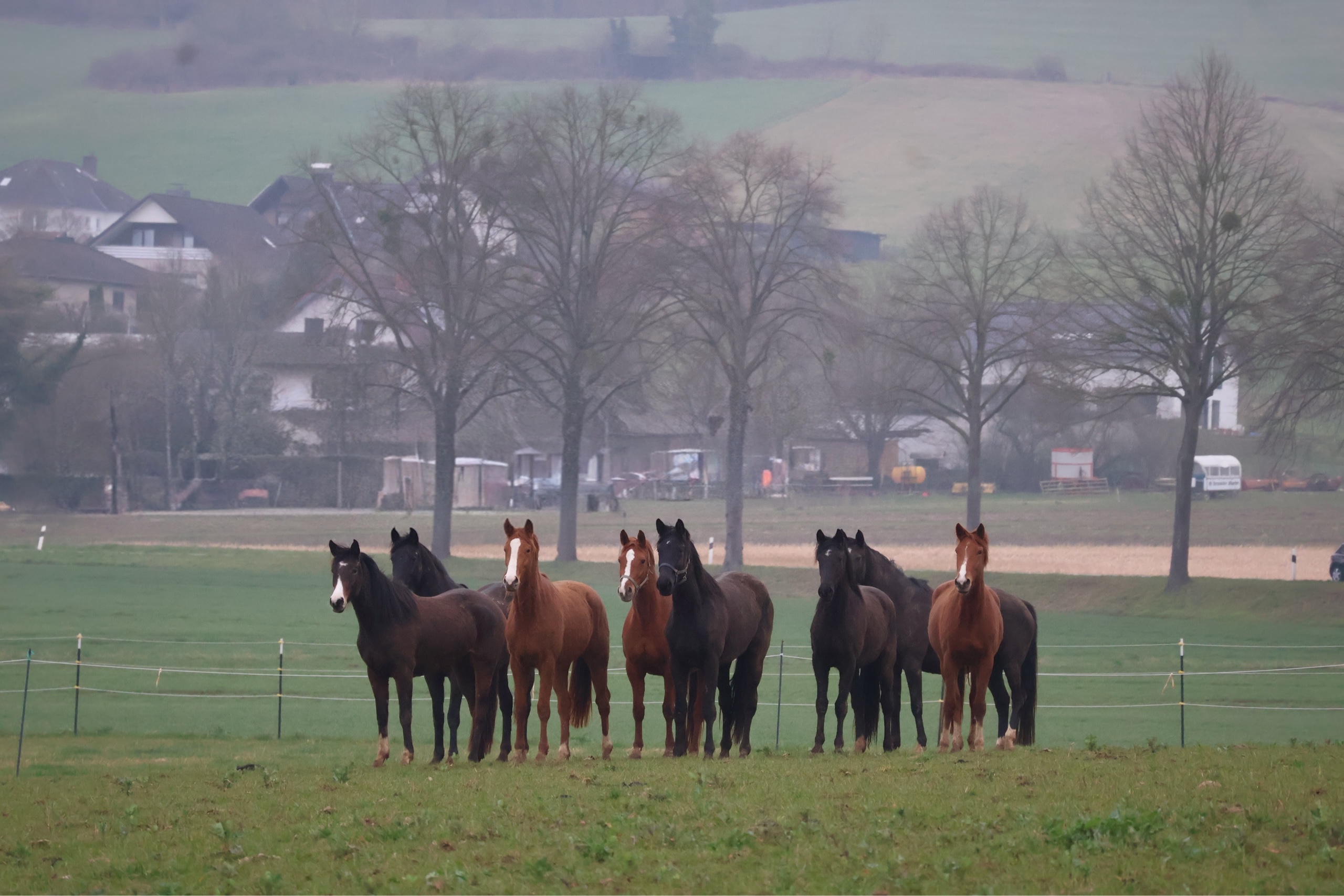 21.03.2026 auf der Feldweide - Foto: Sabine Beyer