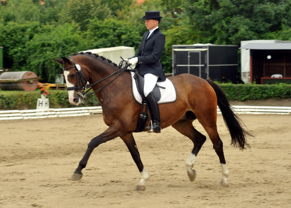 Gentle Giant von Alter Fritz u.d. Pr.St. Guendalina v. Red Patrick xx, Foto: Beate Langels Gestüt Hämelschenburg