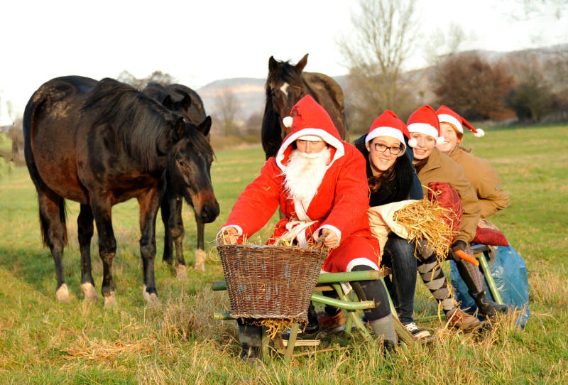 Weihnachtszeit im Trakehner Gestt Hmelschenburg - Foto: Beate Langels