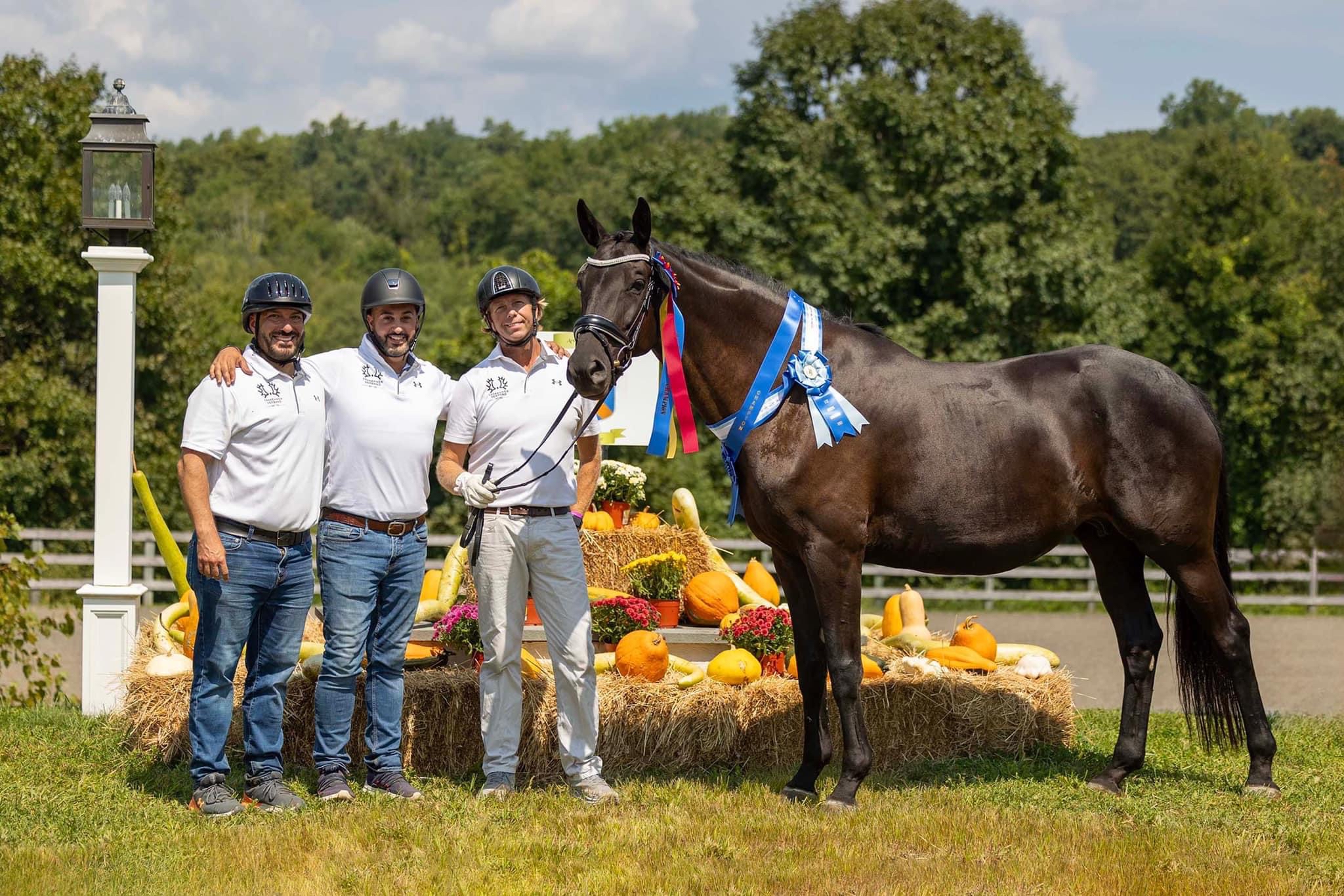 Trés Chic - Trakehner Stute von Schwarzgold u.d. Pr.u.StPrSt. Tacyra v. Saint Cyr  - 
Foto Beate Langels