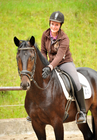 frisch angeritten: 3year old Oldenburger Gelding by Summertime out of Beloved by Kostolany