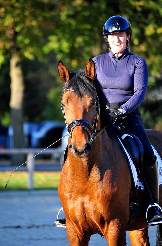 Trakehner Gestüt Hämelschenburg - Beate Langels