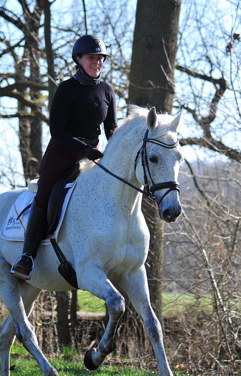 Hopkins unter dem Sattel von Georgia - Gestüt Hämelschenburg - Beate Langels
