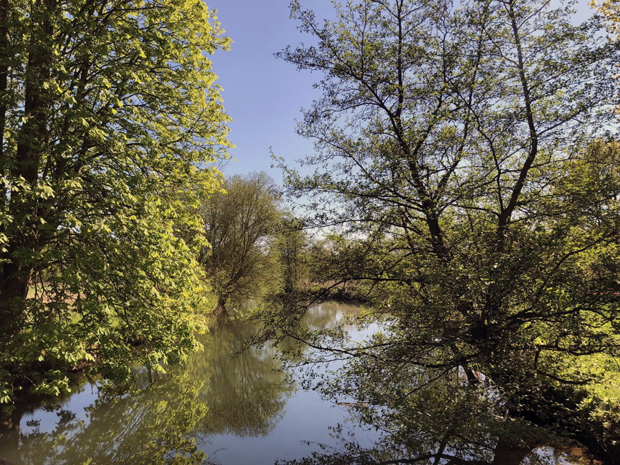 Die Emmer im April 2025 - 
Foto: Beate Langels