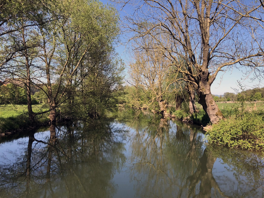 Die Emmer im April 2025 - 
Foto: Beate Langels