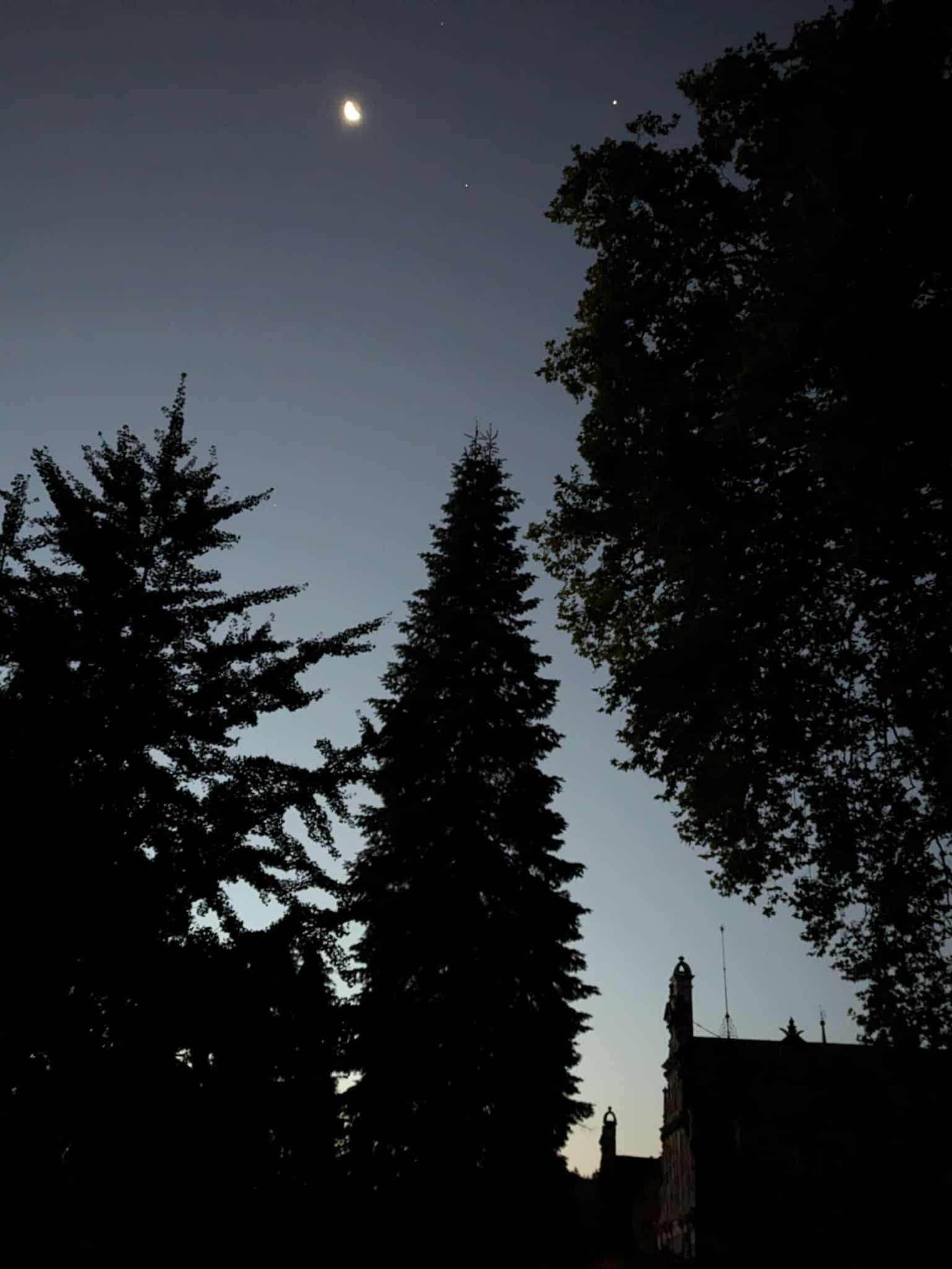  - Foto Sabine Beyer - Trakehner Gest�t H�melschenburg