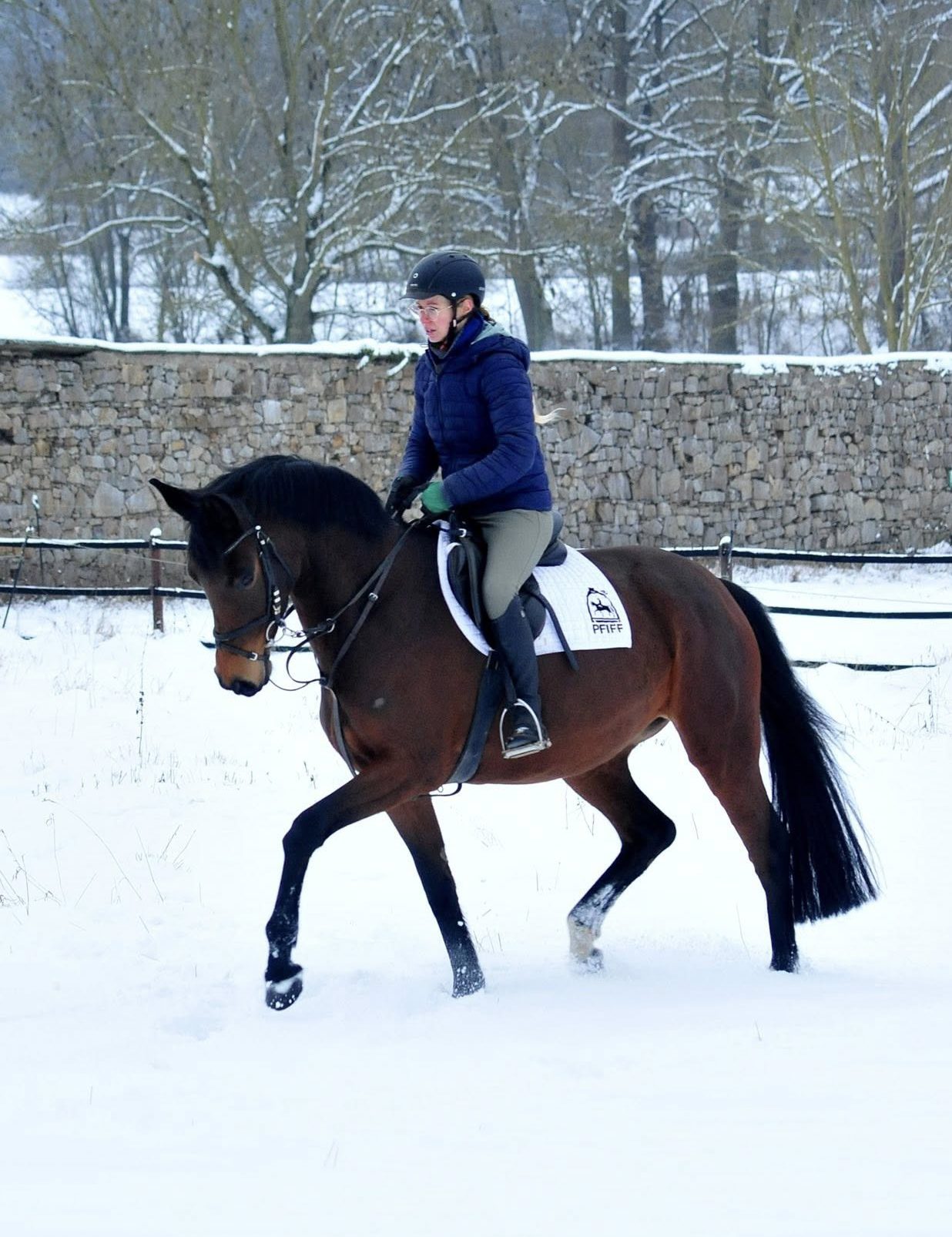 Schwalbe's Primavera v. Schäpitzer v. Schäpitzer u.d. Pr.St. Schwalbe's Beauty v. High Motion - Foto: Beate Langels