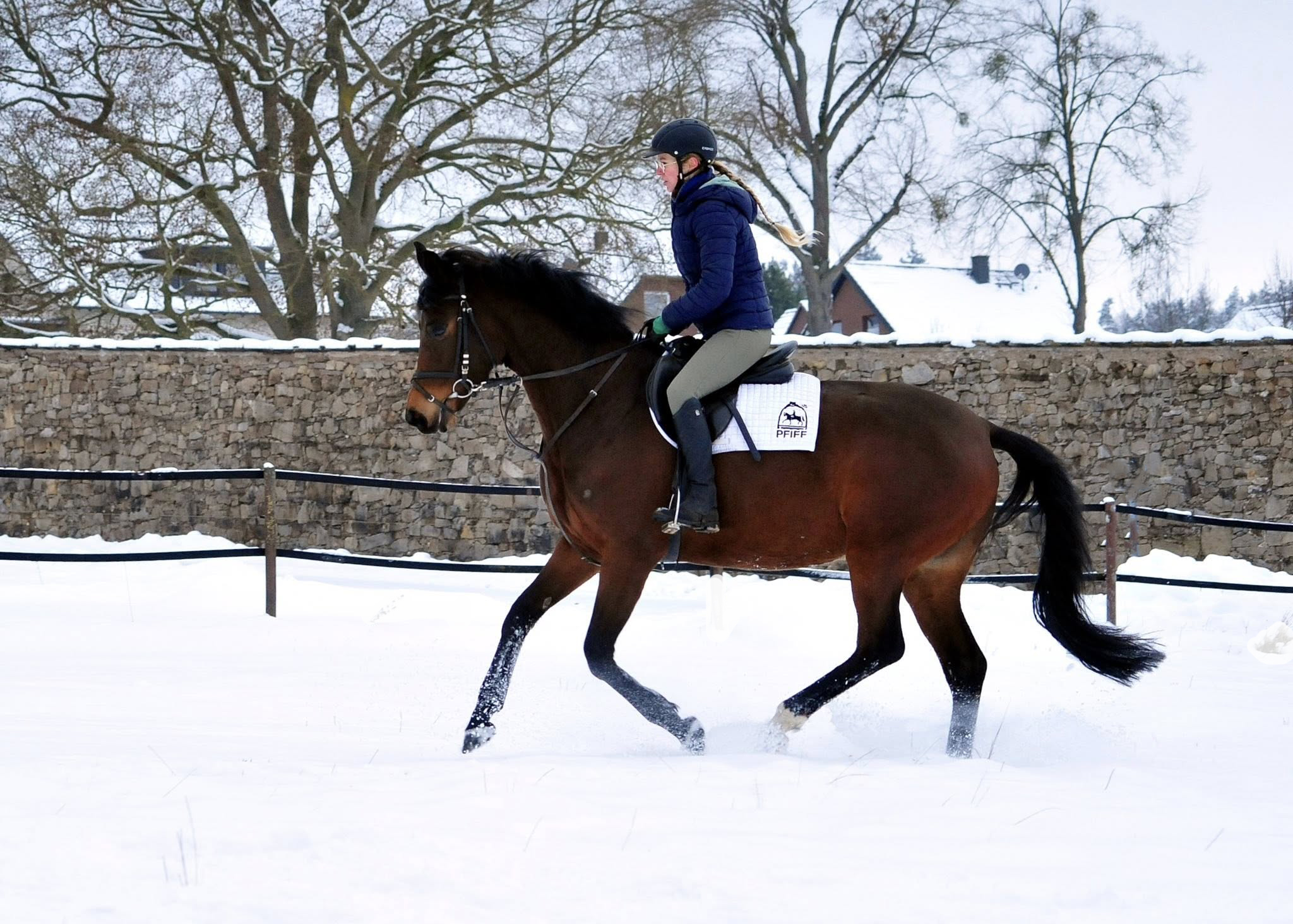 Schwalbe's Primavera v. Schäpitzer v. Schäpitzer u.d. Pr.St. Schwalbe's Beauty v. High Motion - Foto: Beate Langels