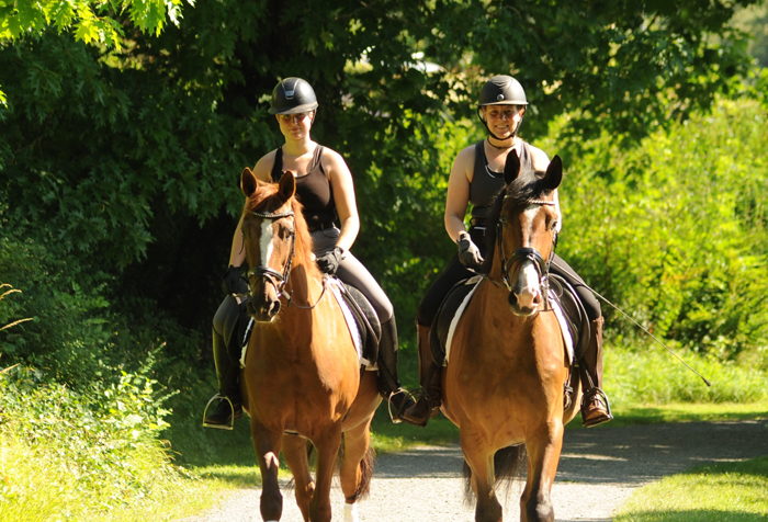 Elea und unsere Pr�mien- u. Staatspr�mienstute Kavalou v. Shavalou - Trakehner Gest�t H�melschenburg - Foto: Langels