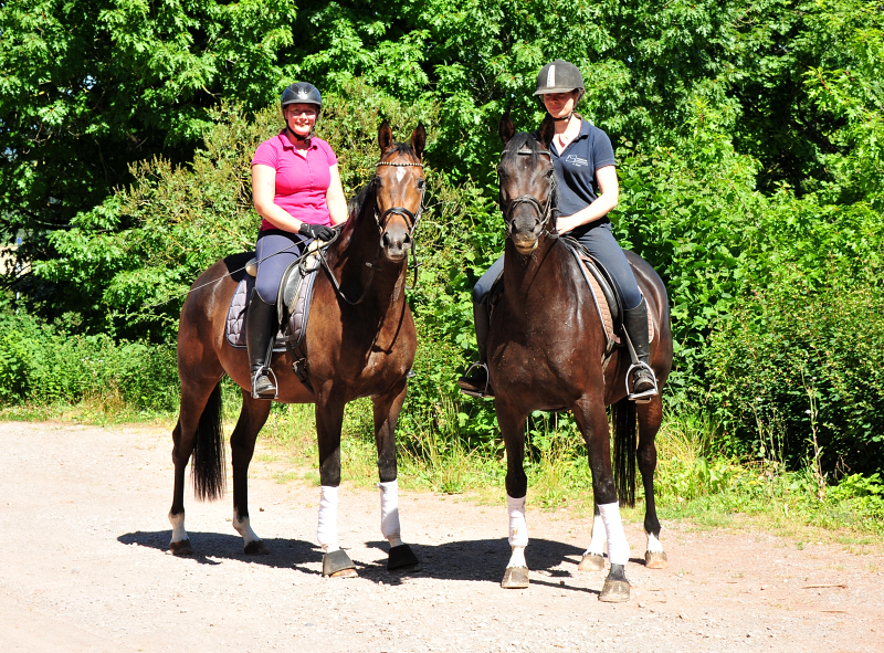 Val d'Isere v. High Motion und Schwalbenzauber v. De Niro - Foto: Beate Langels - Trakehner Gest�t H�melschenburg