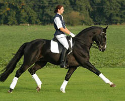Alter Fritz and Marion, Dressage Champion 2003