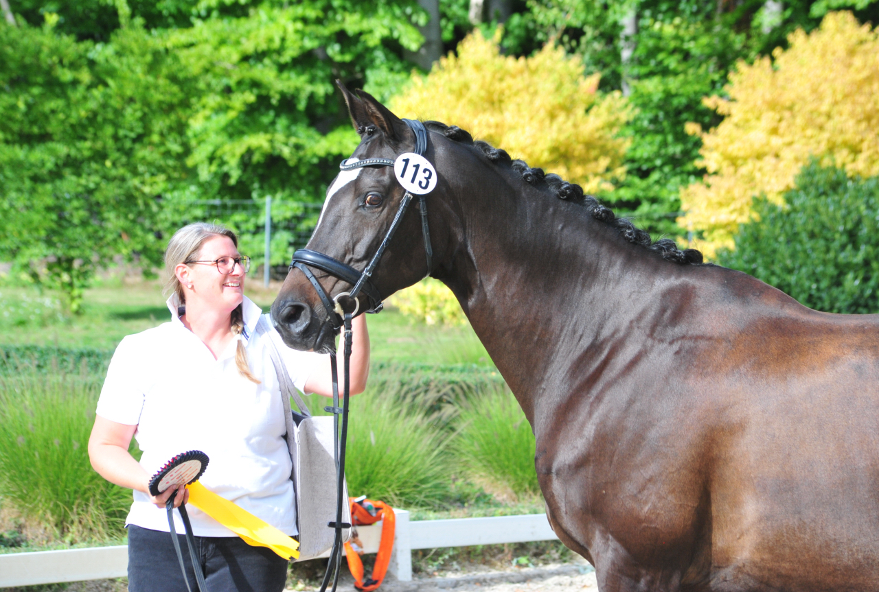 Glorya Gaynor Trakehner Bundesstutenschau Kranichstein 2025 - Foto: Beate Langels - Trakehner Gestüt Hämelschenburg