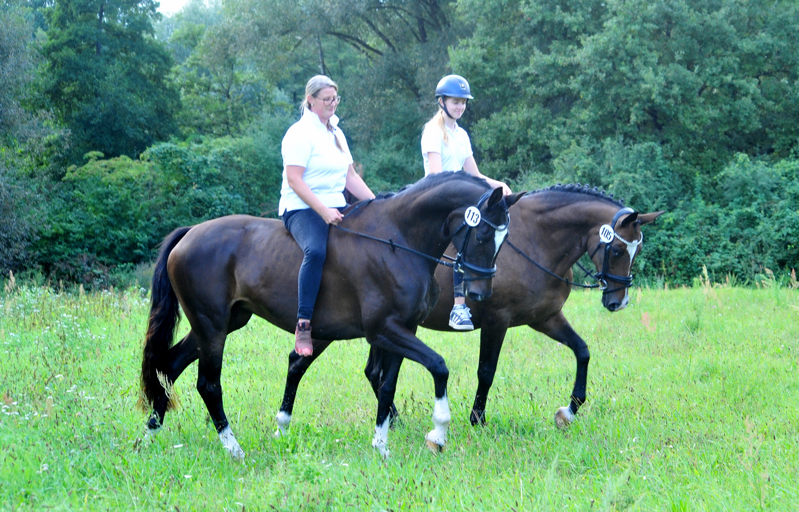 Glorya Gaynor und Tacyra Trakehner Bundesstutenschau Kranichstein 2025 - Foto: Beate Langels - Trakehner Gestüt Hämelschenburg